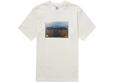 Supreme x Nike ACG Grid T-Shirt - White (FW22)